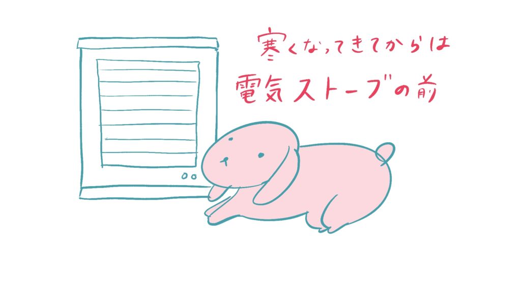 ゆる ふわ うさぎ さん