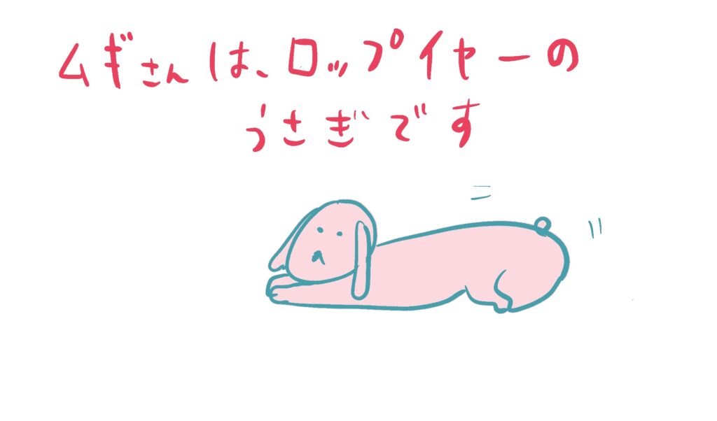 ゆる ふわ うさぎ さん