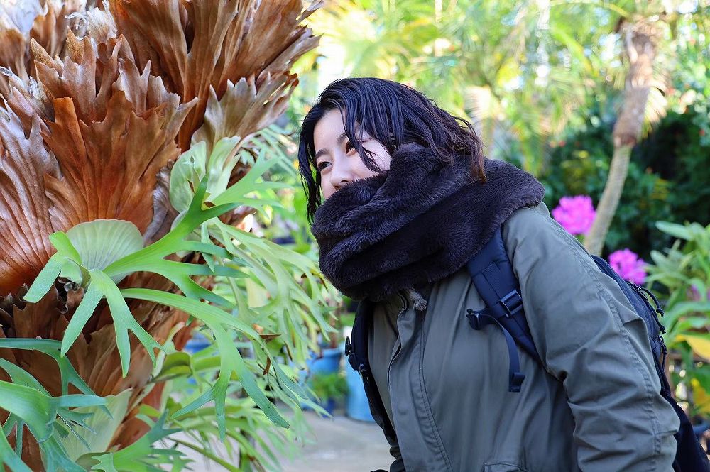 丁寧な発信でビカクシダファンの裾野を広げたい ライター・タナカエリ