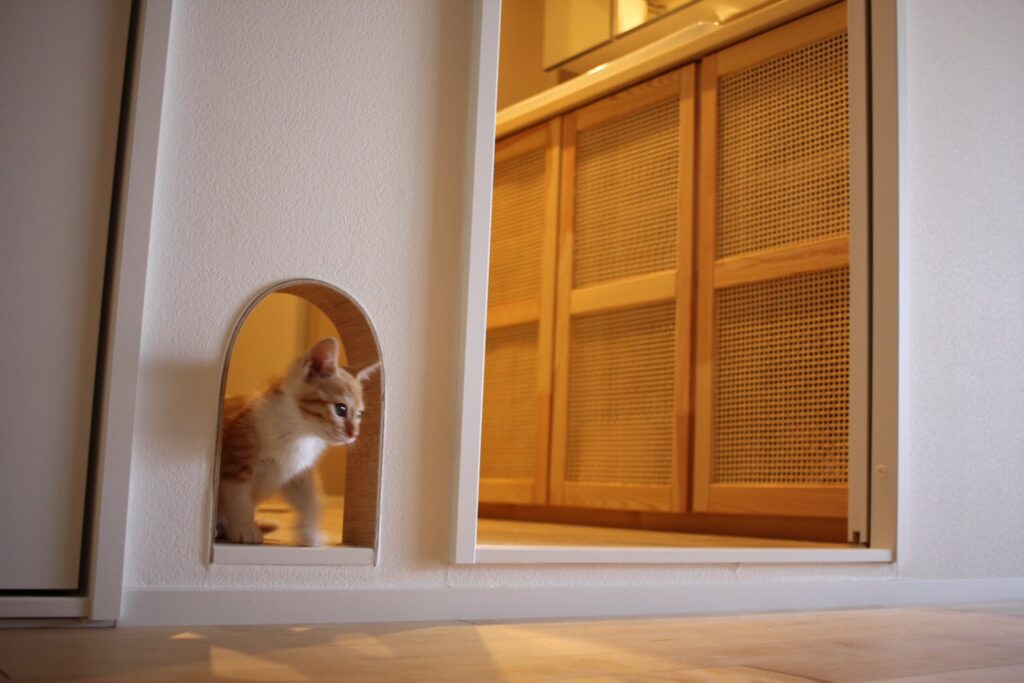 マンションリノベーション_洗面_猫窓_鈴木栄弥_エントリエ