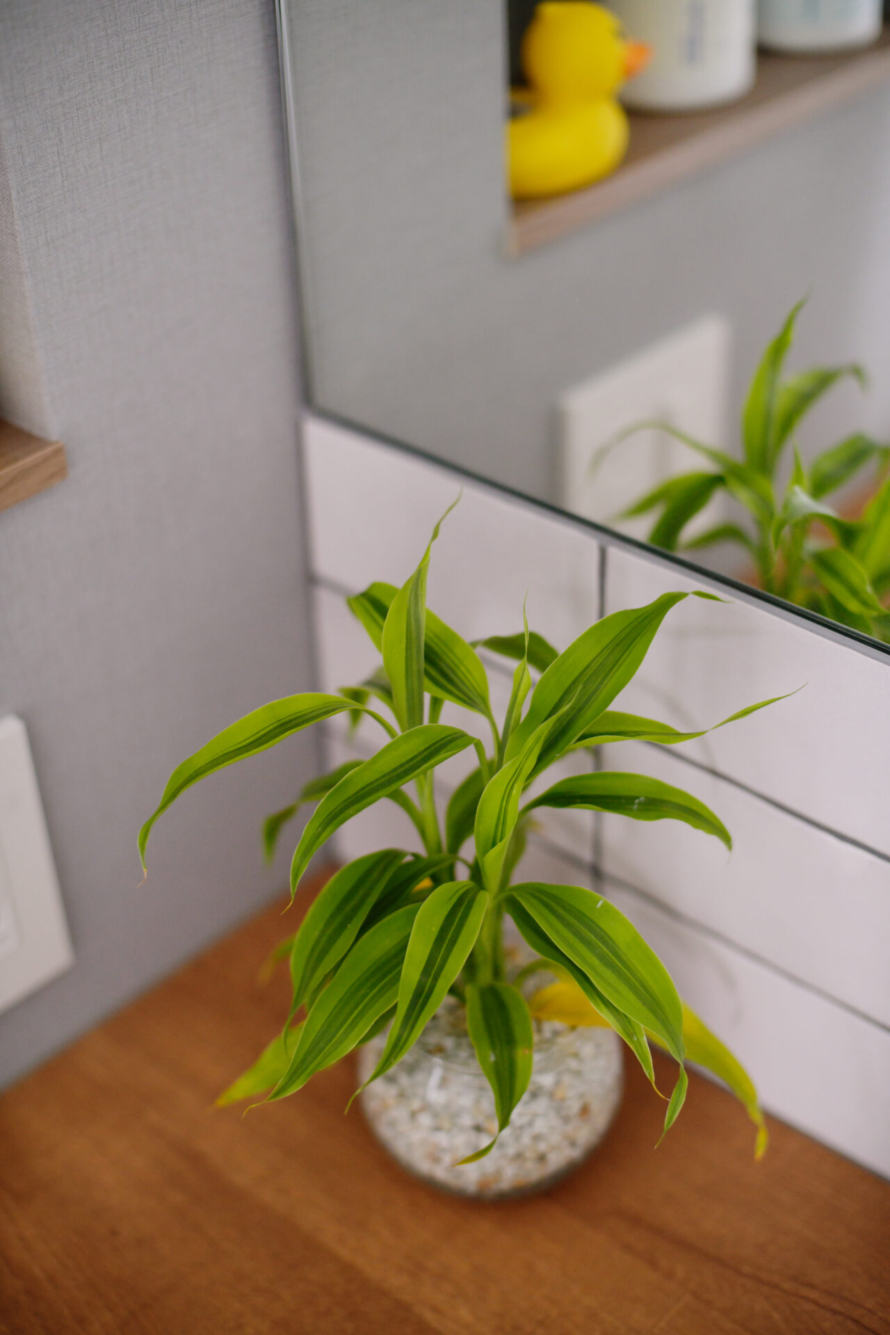 オープンな間取りで三世代が快適に暮らせる住まい