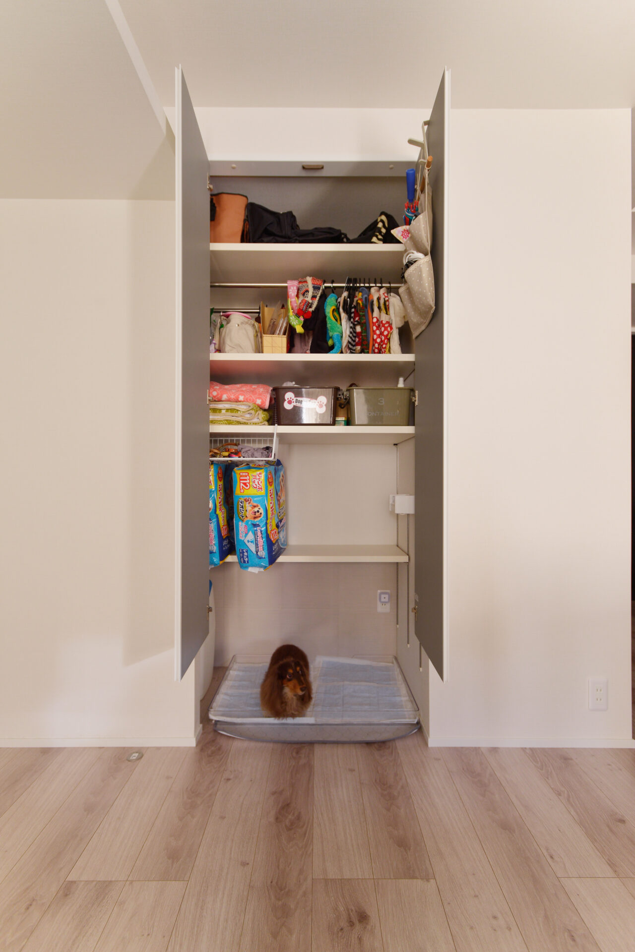 広々したリビングにペットクローゼット 愛犬たちと心地よく暮らすお家