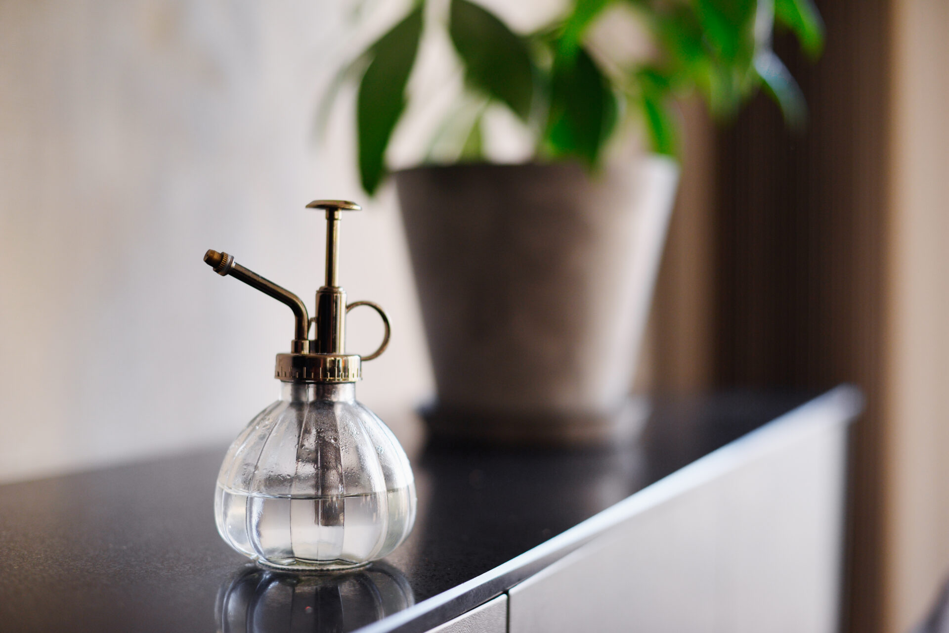 広々したリビングにペットクローゼット 愛犬たちと心地よく暮らすお家