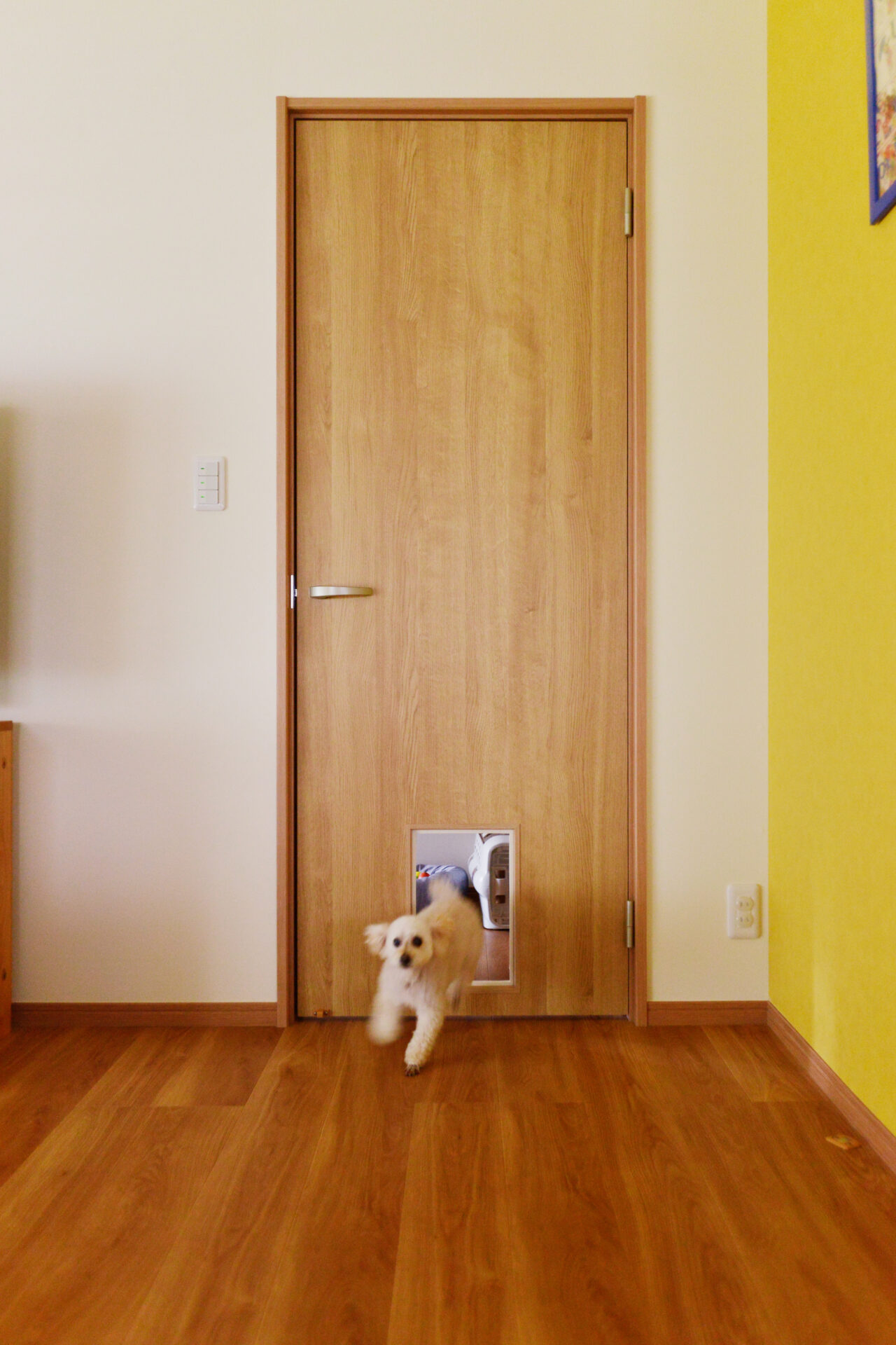 奥さまの家事が楽になる導線を。キッチンを中心に家族の笑顔が溢れるお家