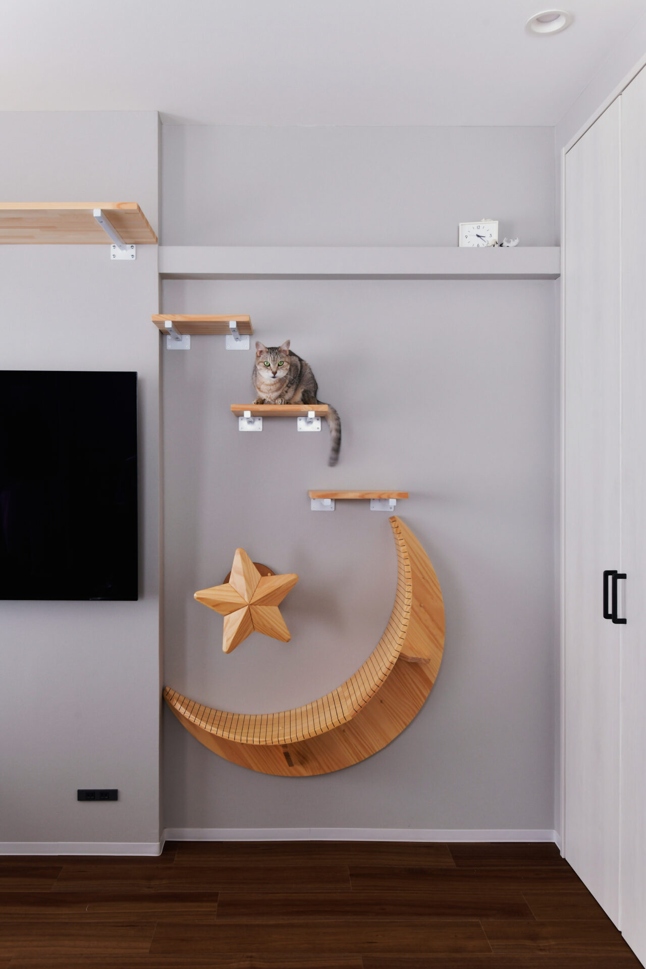 猫ちゃんものびのび。キャットウォークのあるお家