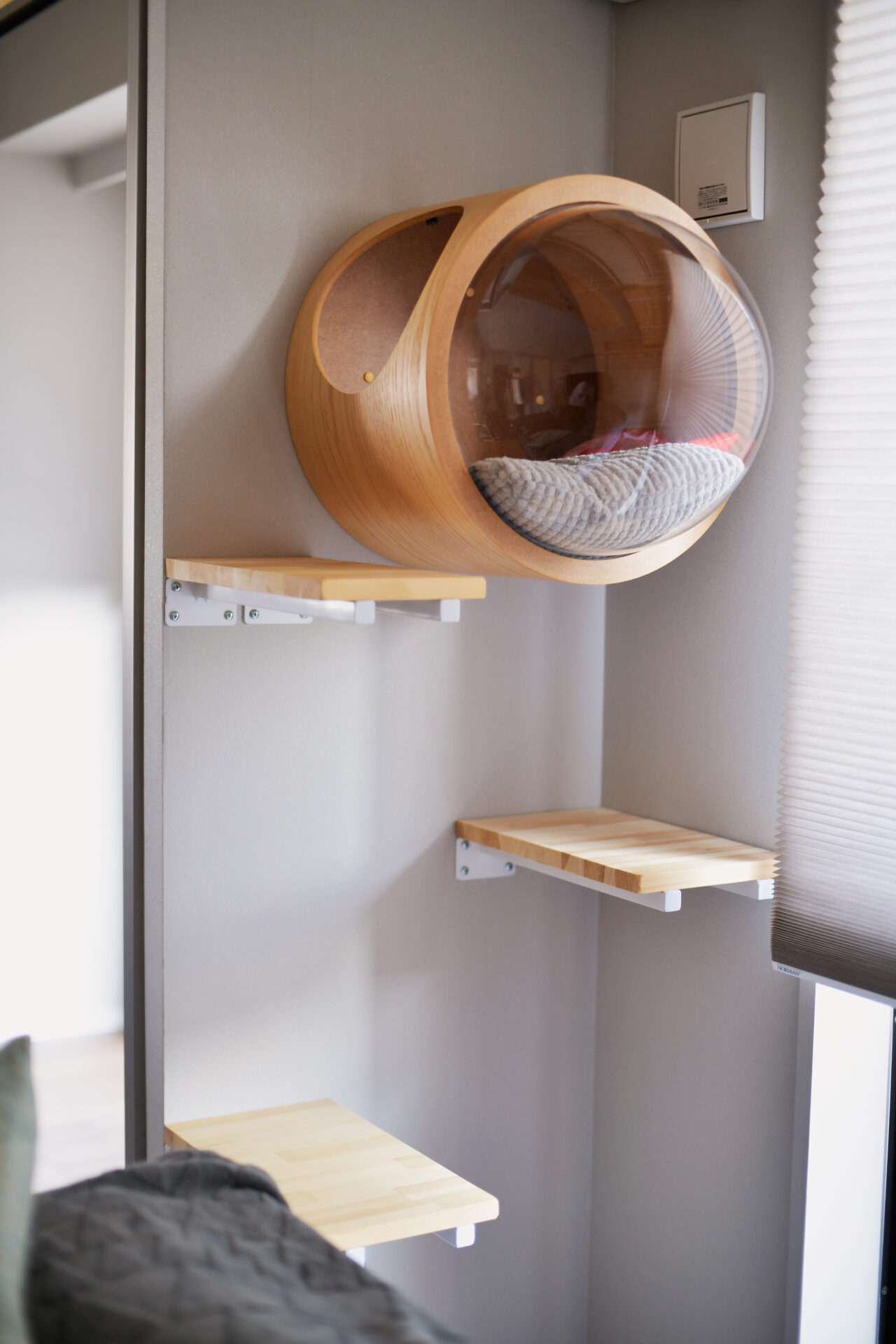 猫ちゃんものびのび。キャットウォークのあるお家