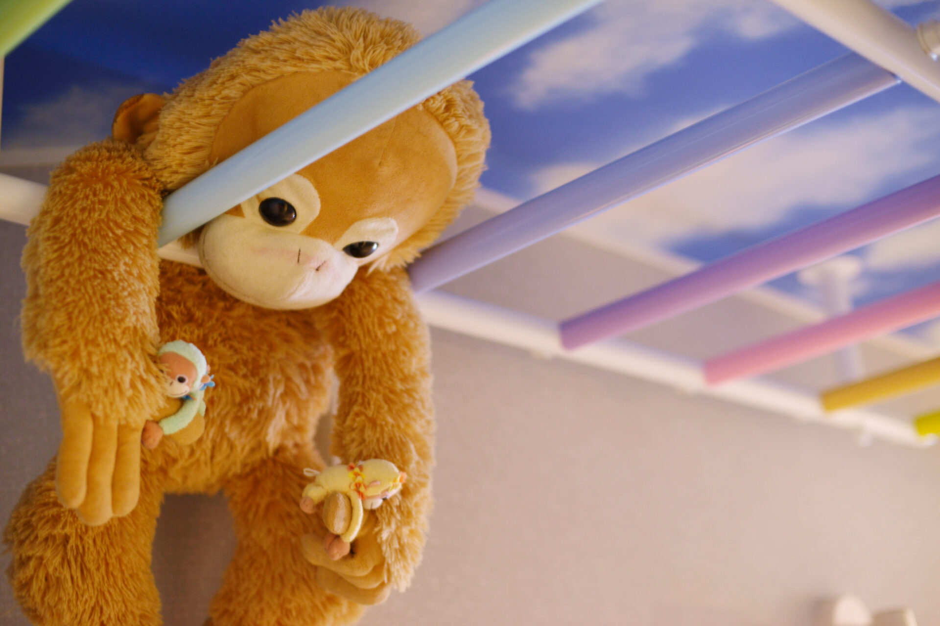 雲梯にハンモック!? それぞれの居場所がある、遊び心のある家