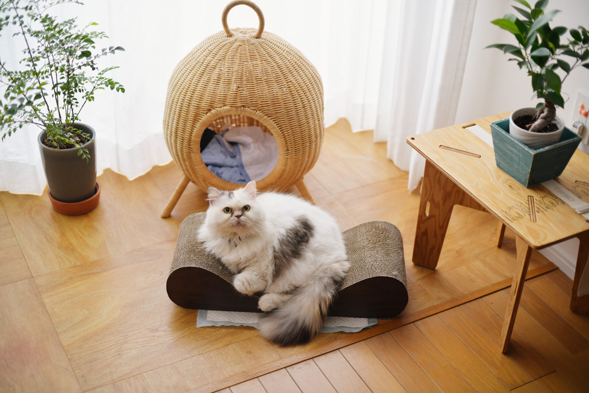 築古のマンションリノベーションで、より安心して住めるお家に