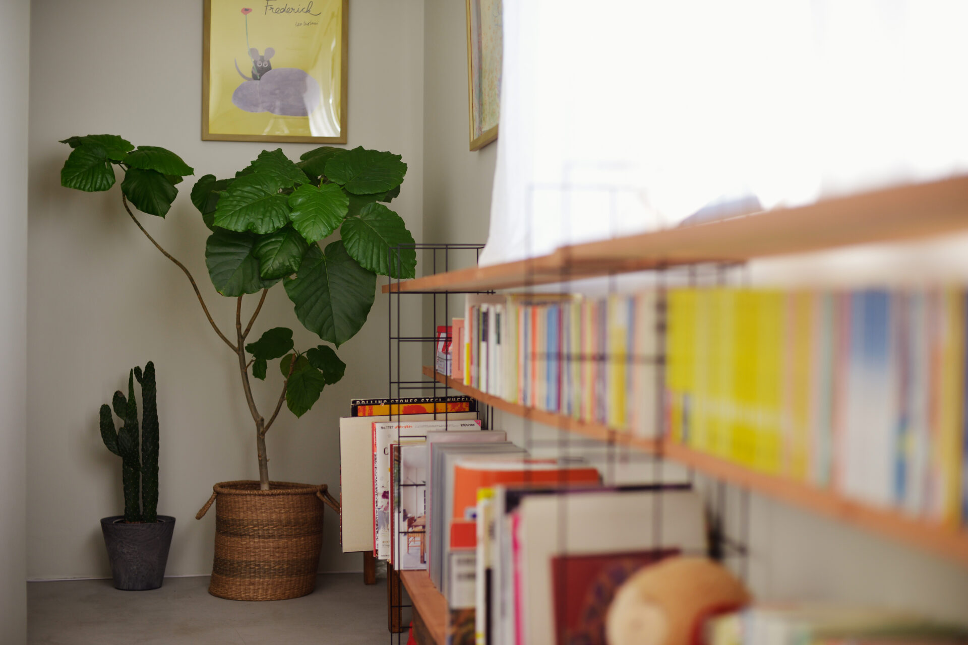 長い廊下とフレームキッチンが特徴のDIYアイデアいっぱいのお家