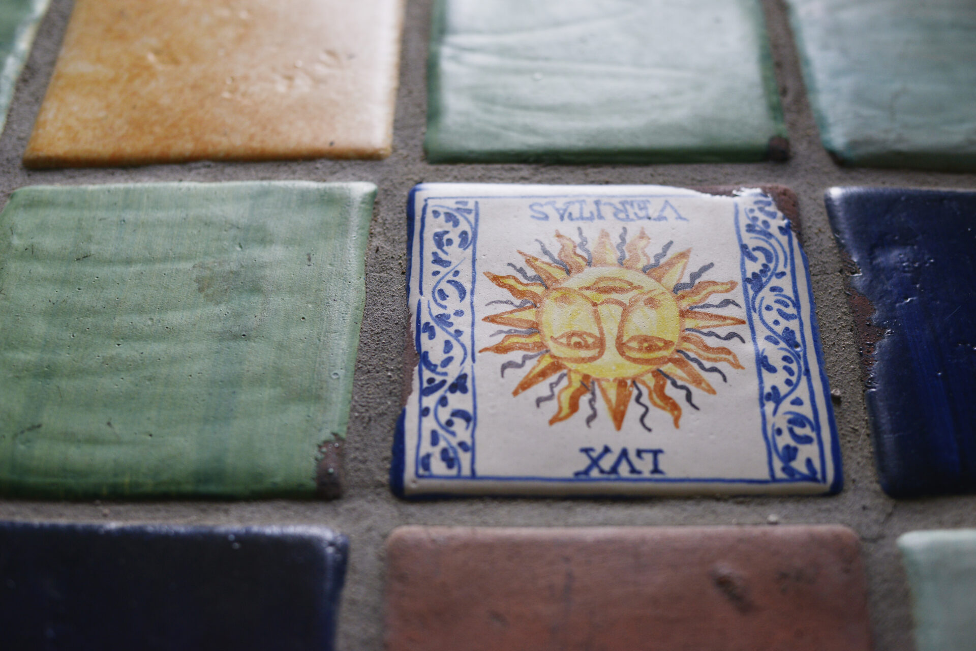 観葉植物とヴィンテージ家具でクールな家づくり