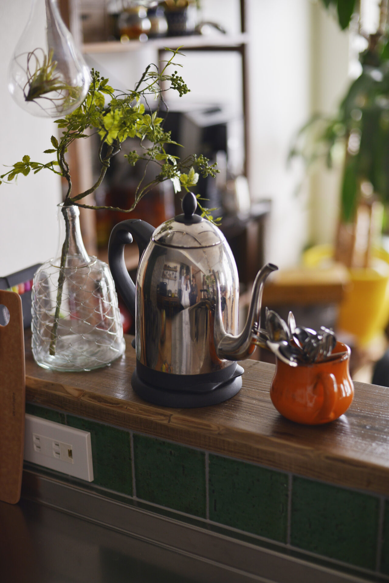 観葉植物とヴィンテージ家具でクールな家づくり