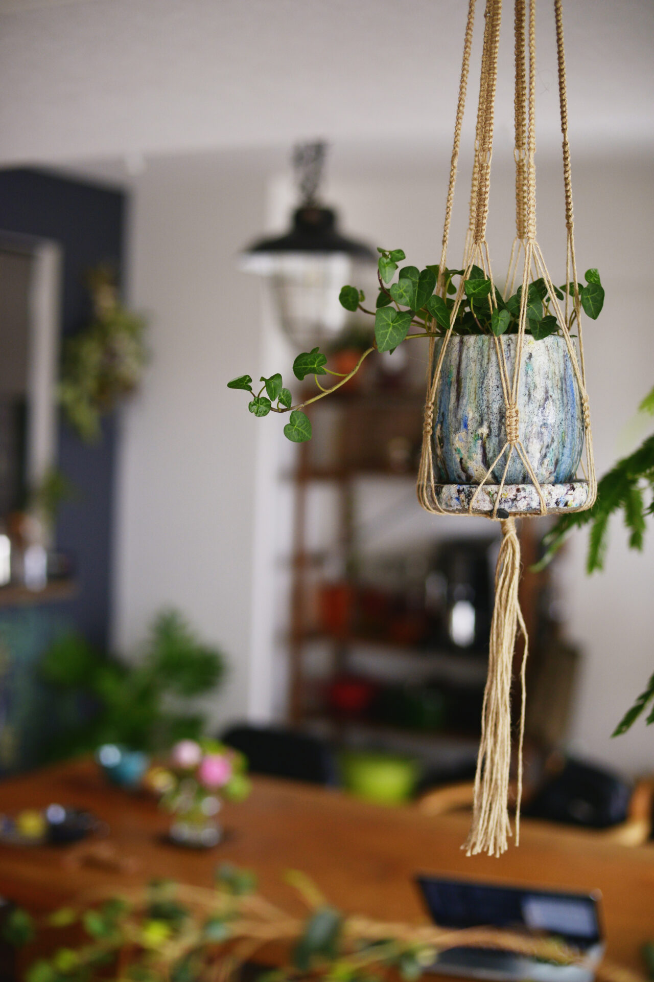 観葉植物とヴィンテージ家具でクールな家づくり