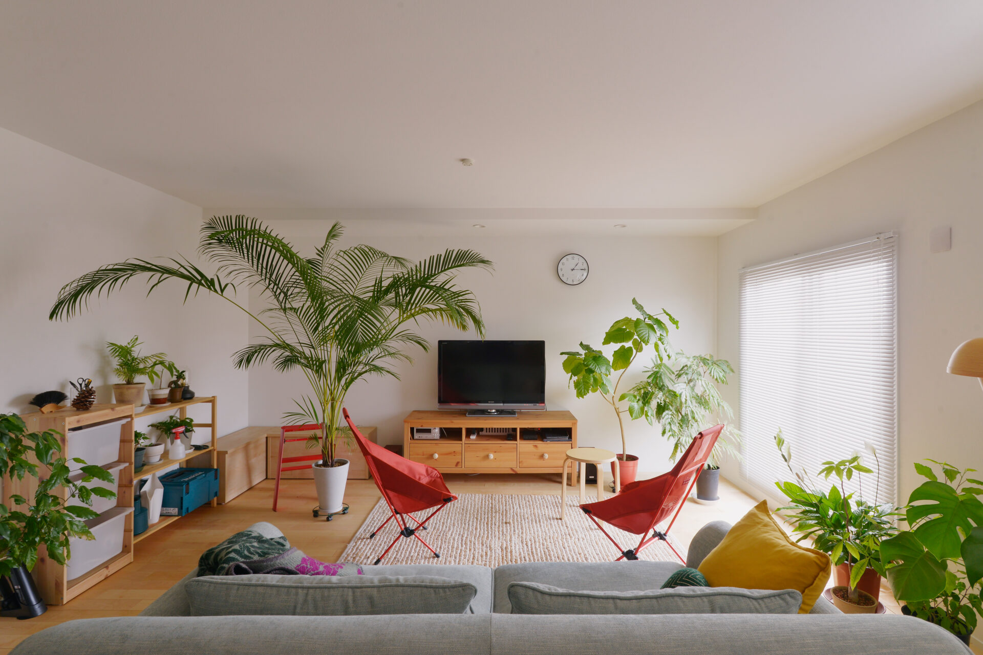 猫と住まう未来をえがく。人も動物も快適な住まい