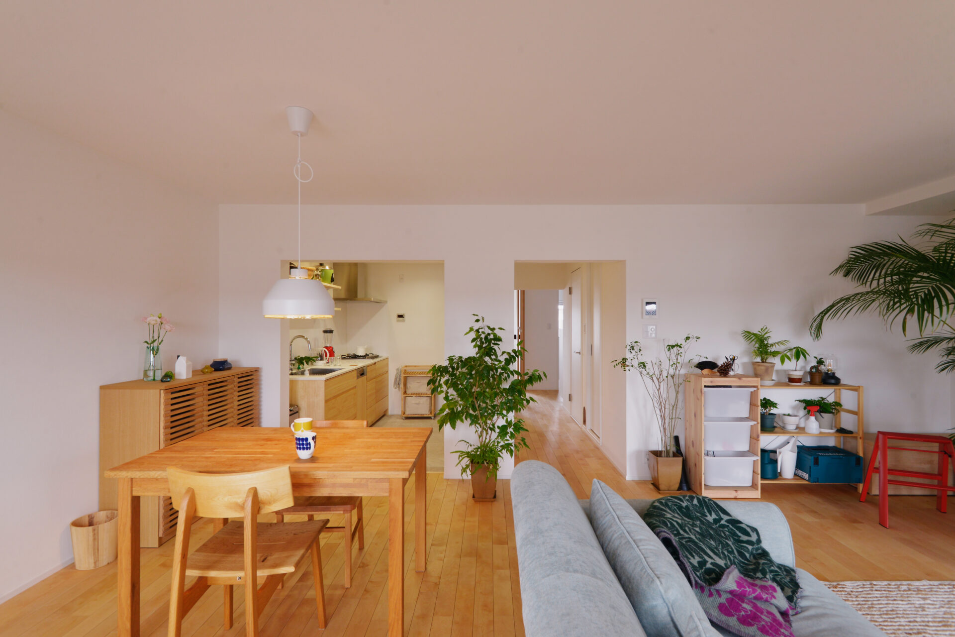 猫と住まう未来をえがく。人も動物も快適な住まい