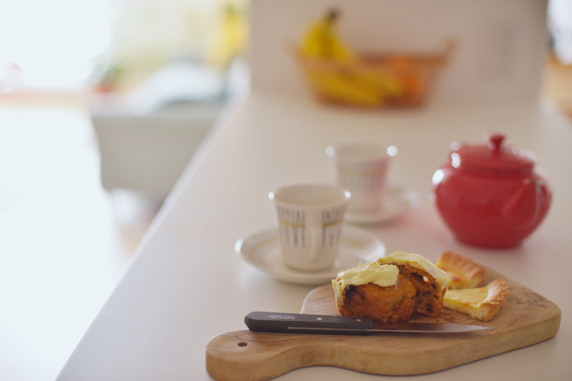 猫と住まう未来をえがく。人も動物も快適な住まい