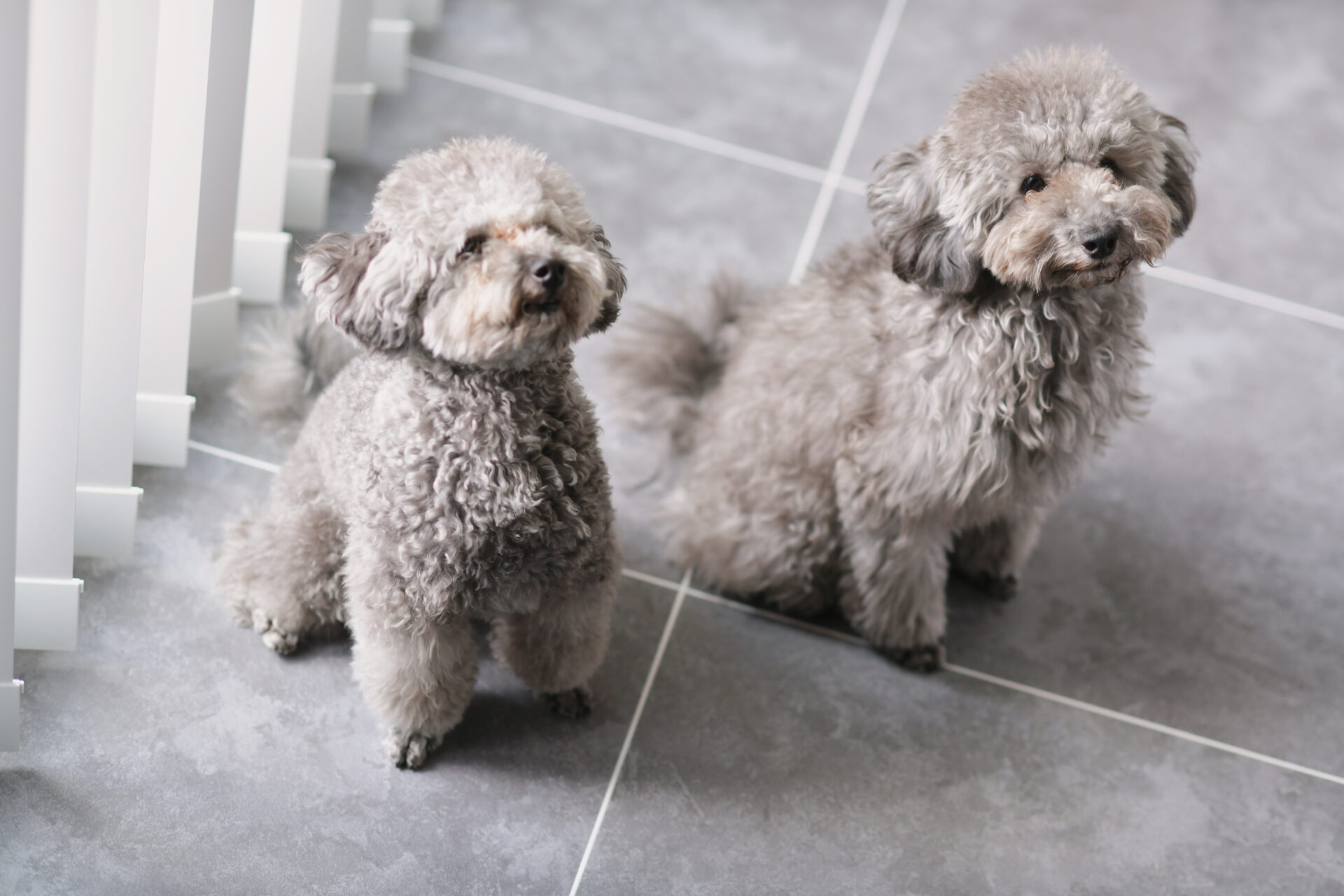 コレクションが生きる、インダストリアルテイストのお家