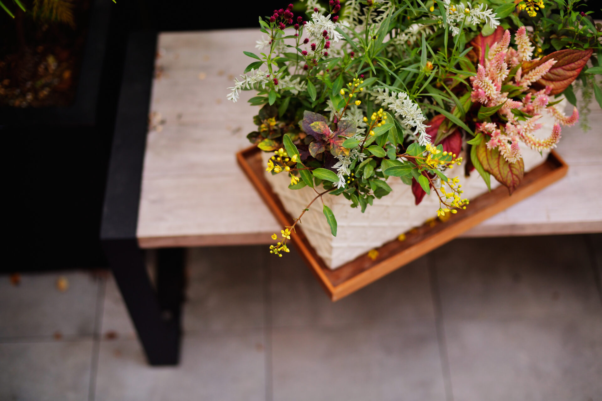 緑豊かなベランダが広がる大人の隠れ家