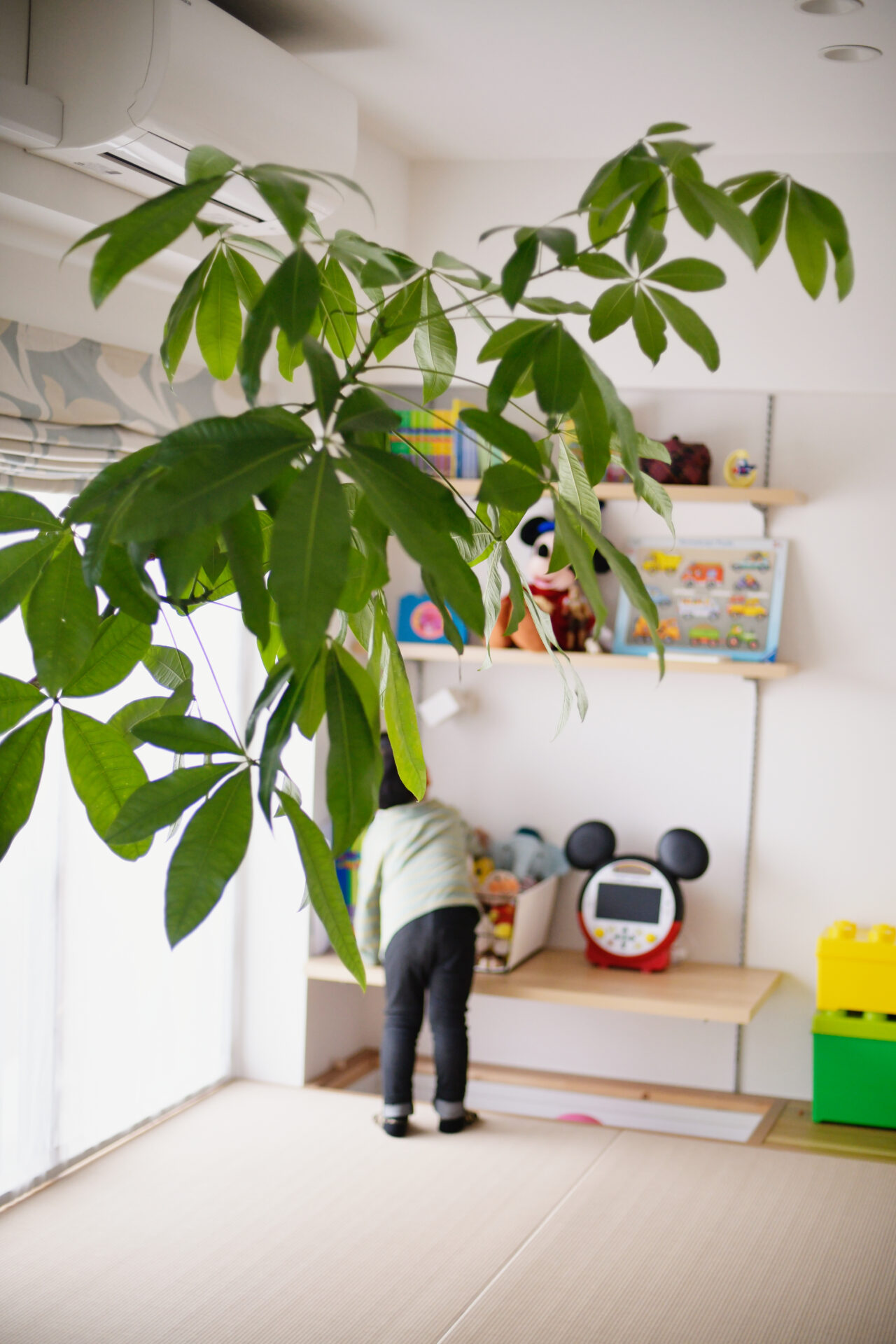 造作で空間を隅々まで活かした、家族の居場所