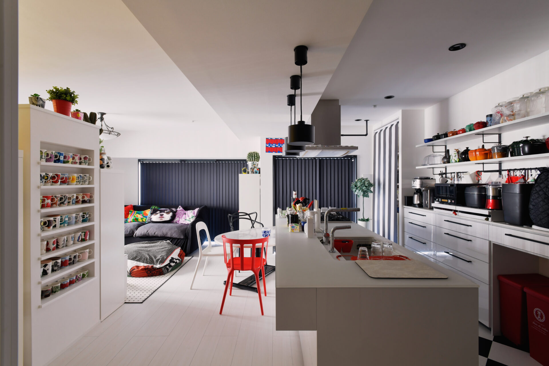 コレクションと暮らすアトリエハウス