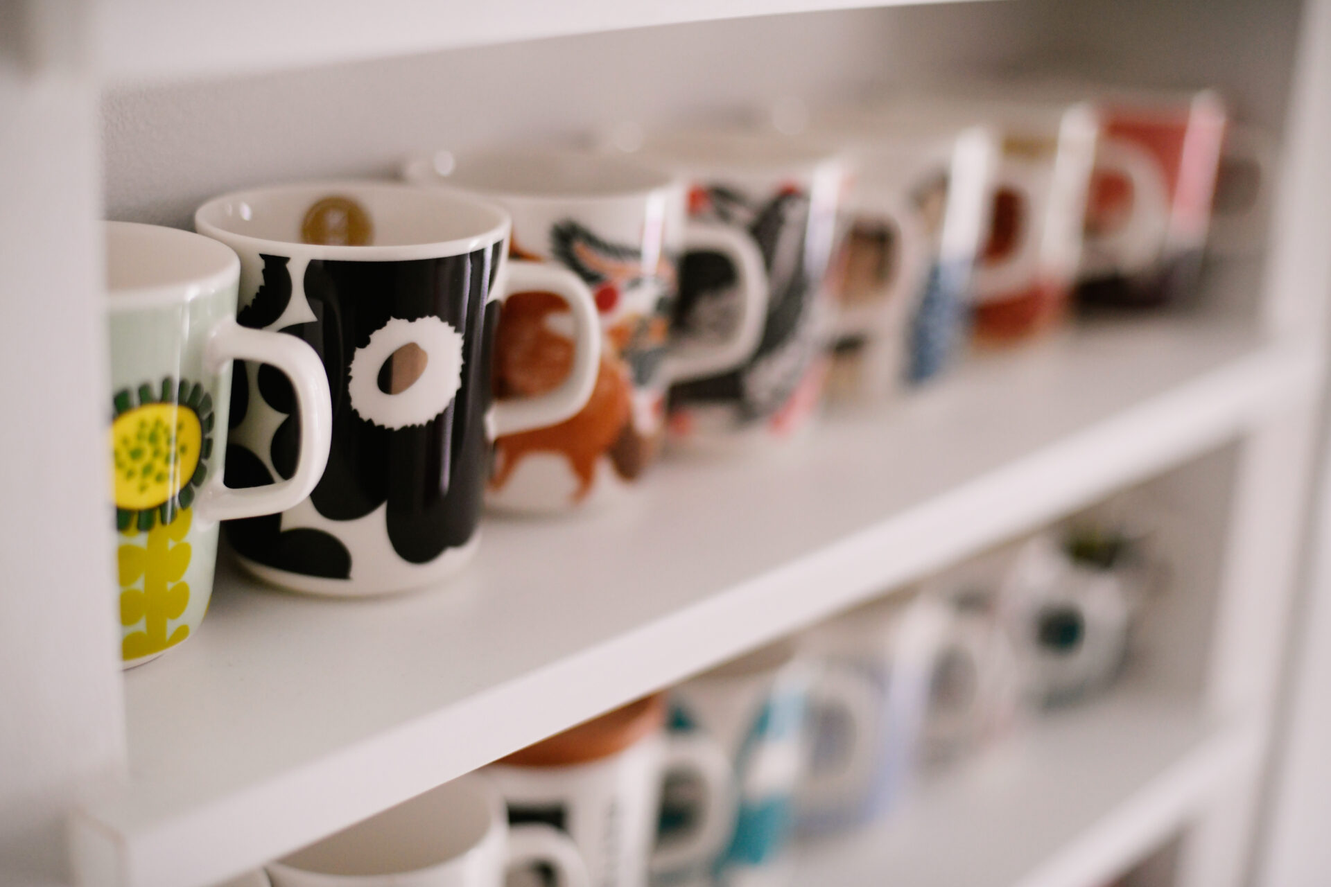 コレクションと暮らすアトリエハウス