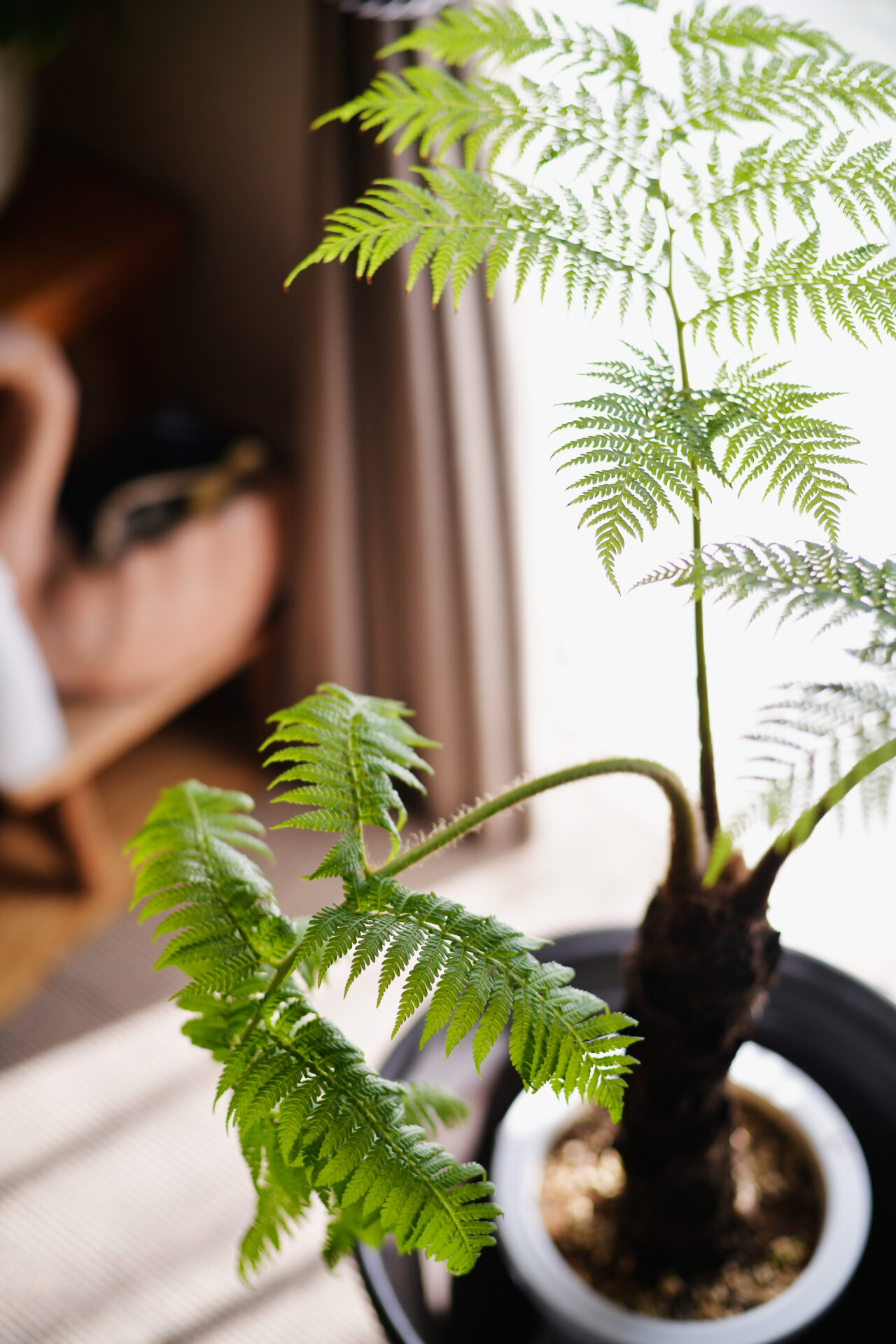 未来も好きなものに囲まれて