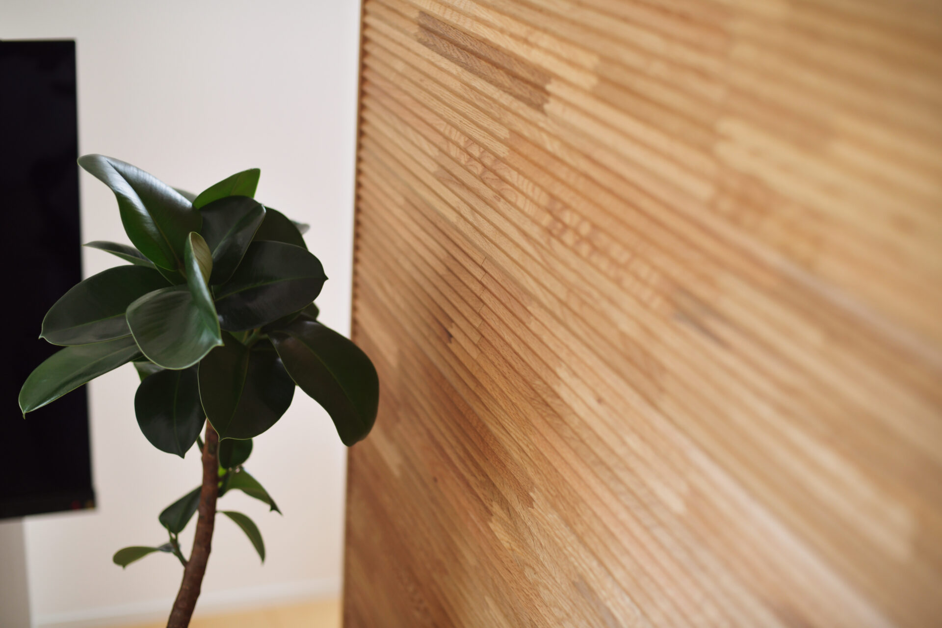 ふたりの生活スタイルを大切に考えた、スタイリッシュで機能的なお家