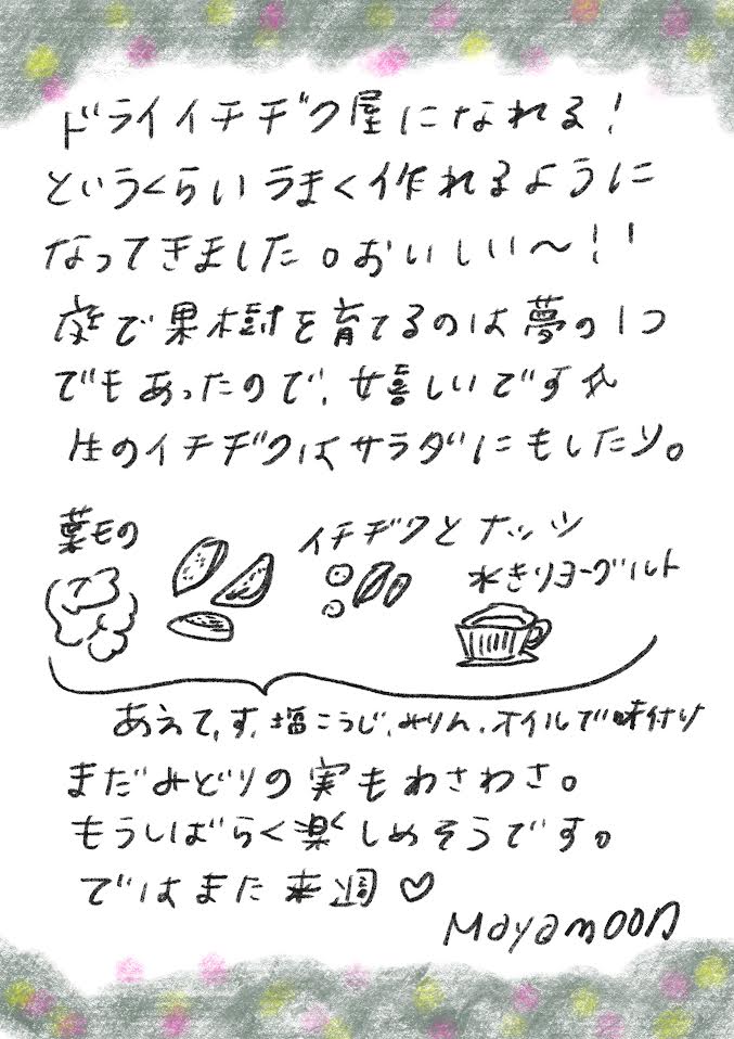 ドライイチヂク屋になれる！
というくらいうまく作れるようになってきました。おいしい〜！！
庭で果材を育てるのは夢の1つでもあったので、増しいですも生のイチチクはサラダにもしたり。もうしばらく楽しめそうです。で、また来週♥