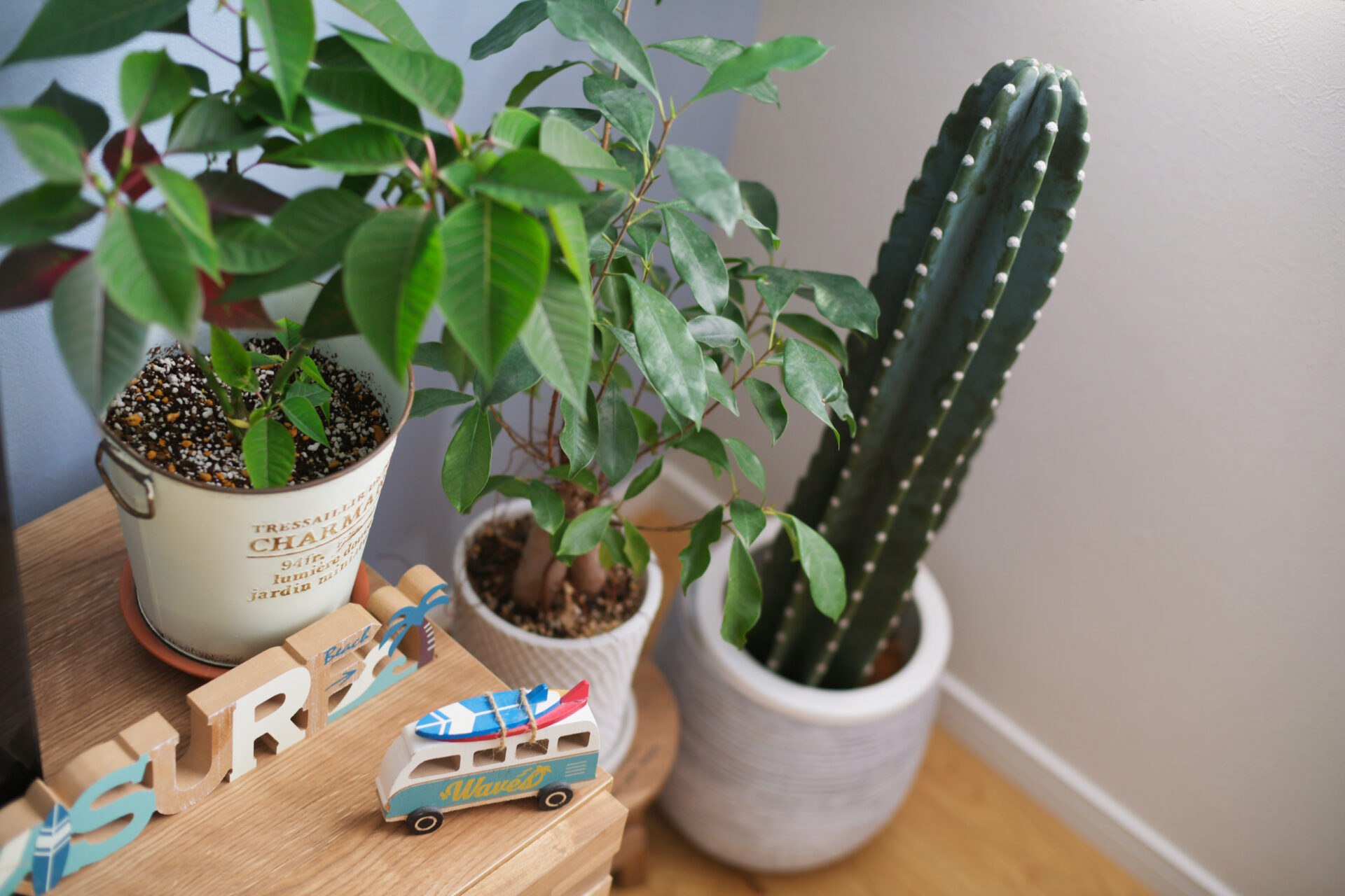 家族の願いを込めた、わたしたちの二世帯住宅の形