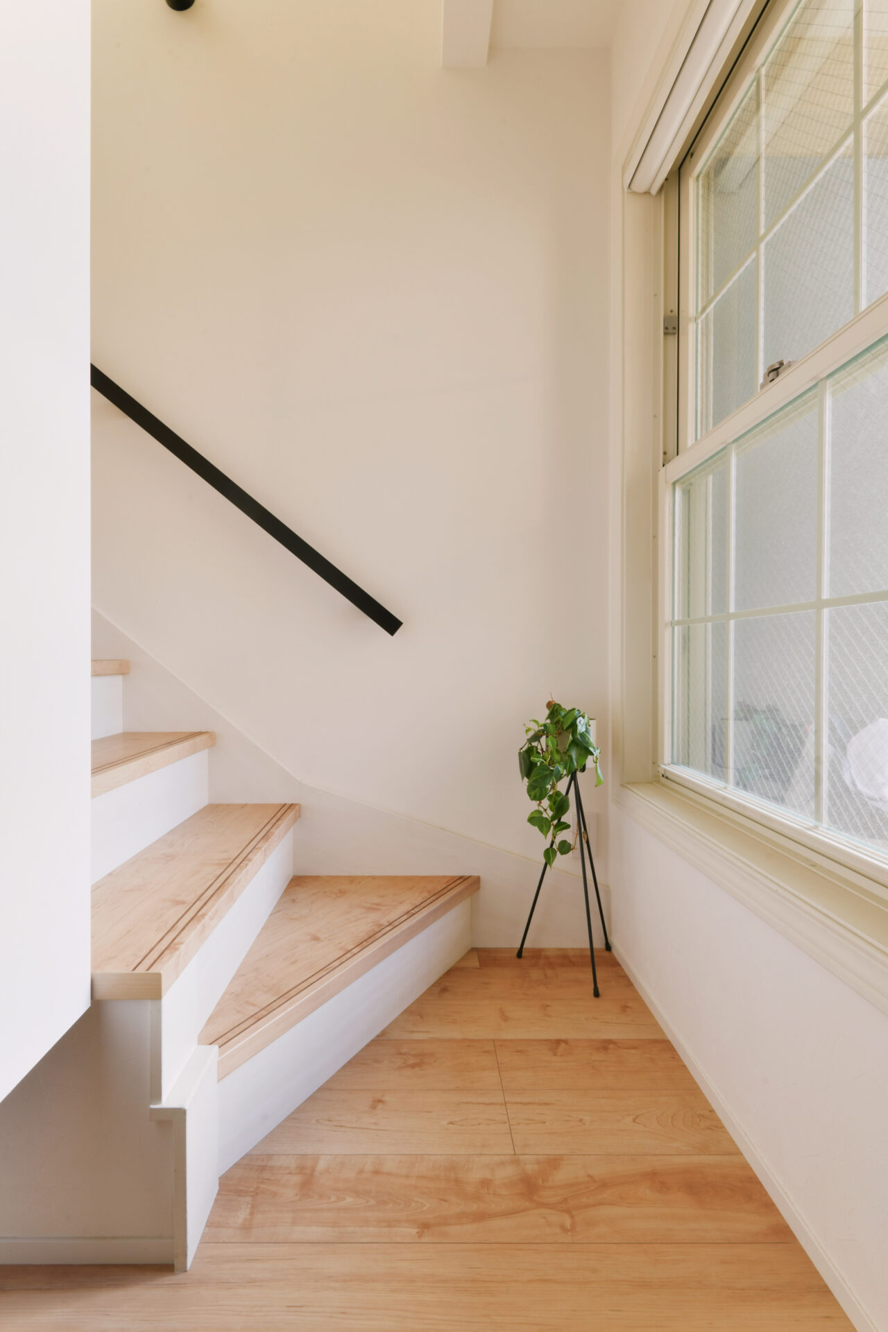 リノベーション事例_戸建て(2×4工法)_廊下_施工後_小林 めぐみ_エントリエ