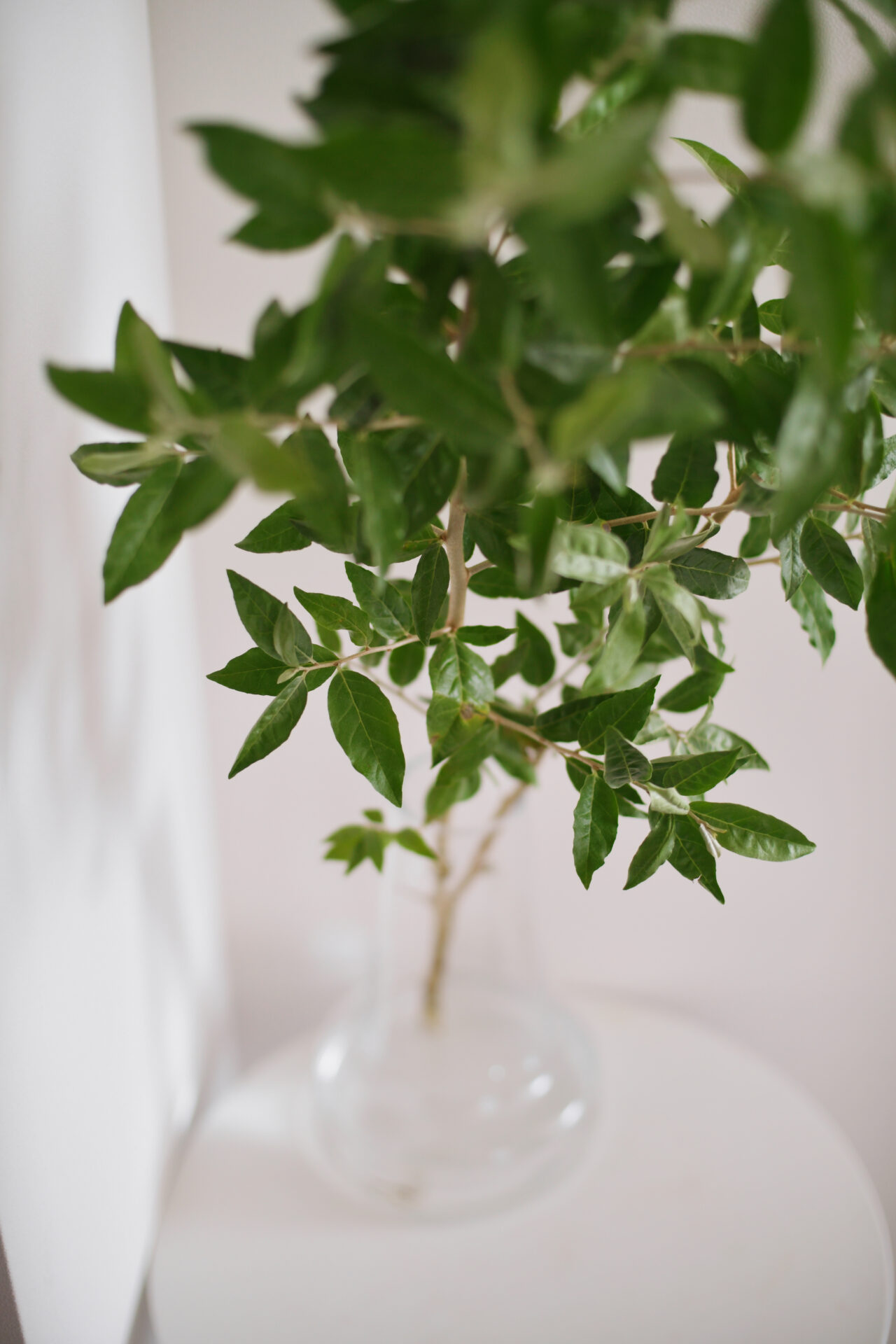 イメージは白い箱。余白が生み出す「ひかり」と「ゆとり」がある住空間