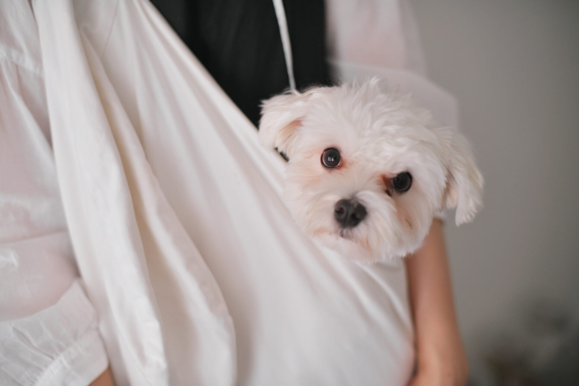 イメージは白い箱。余白が生み出す「ひかり」と「ゆとり」がある住空間