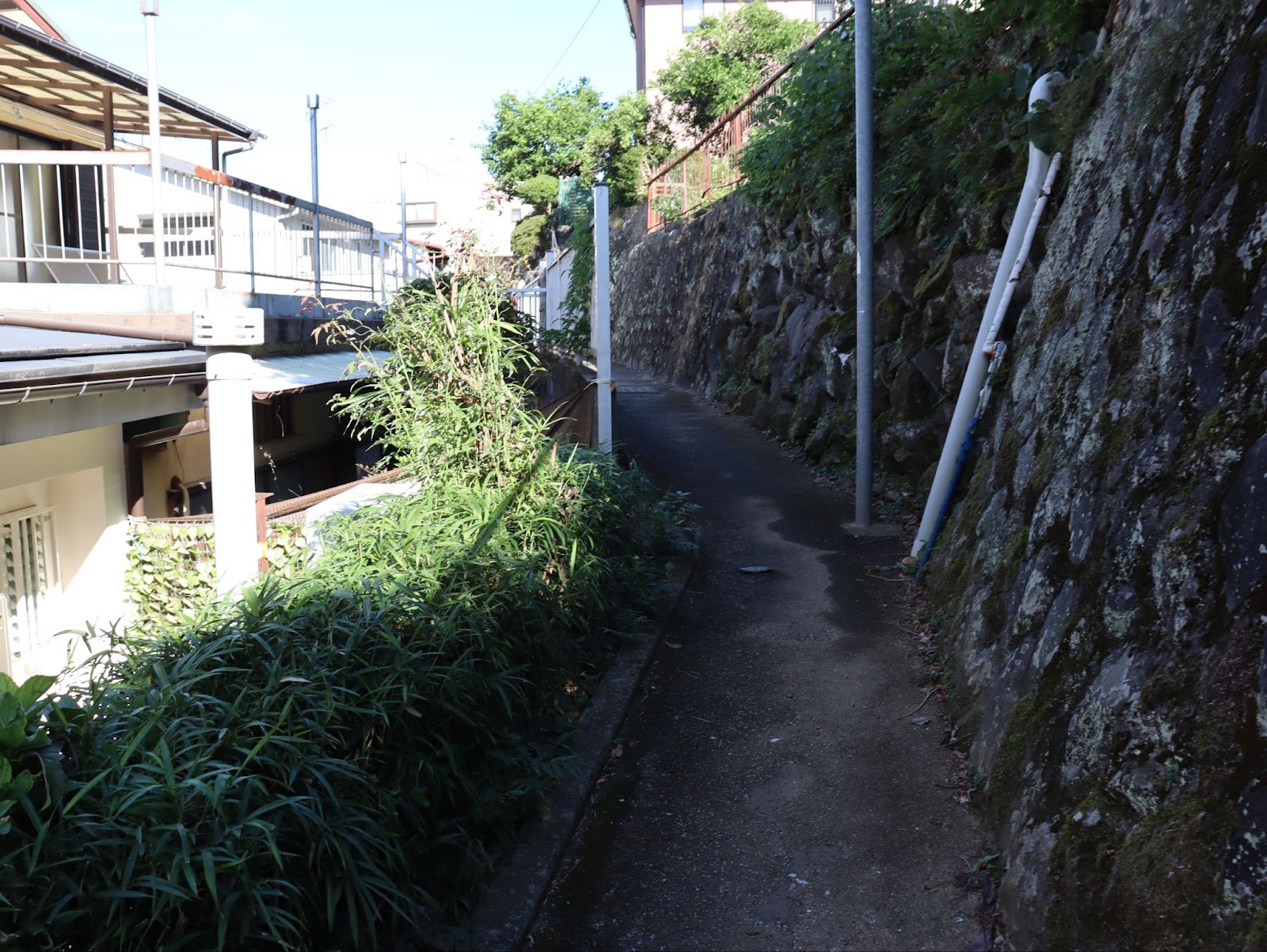 真鶴の迷路のような小道