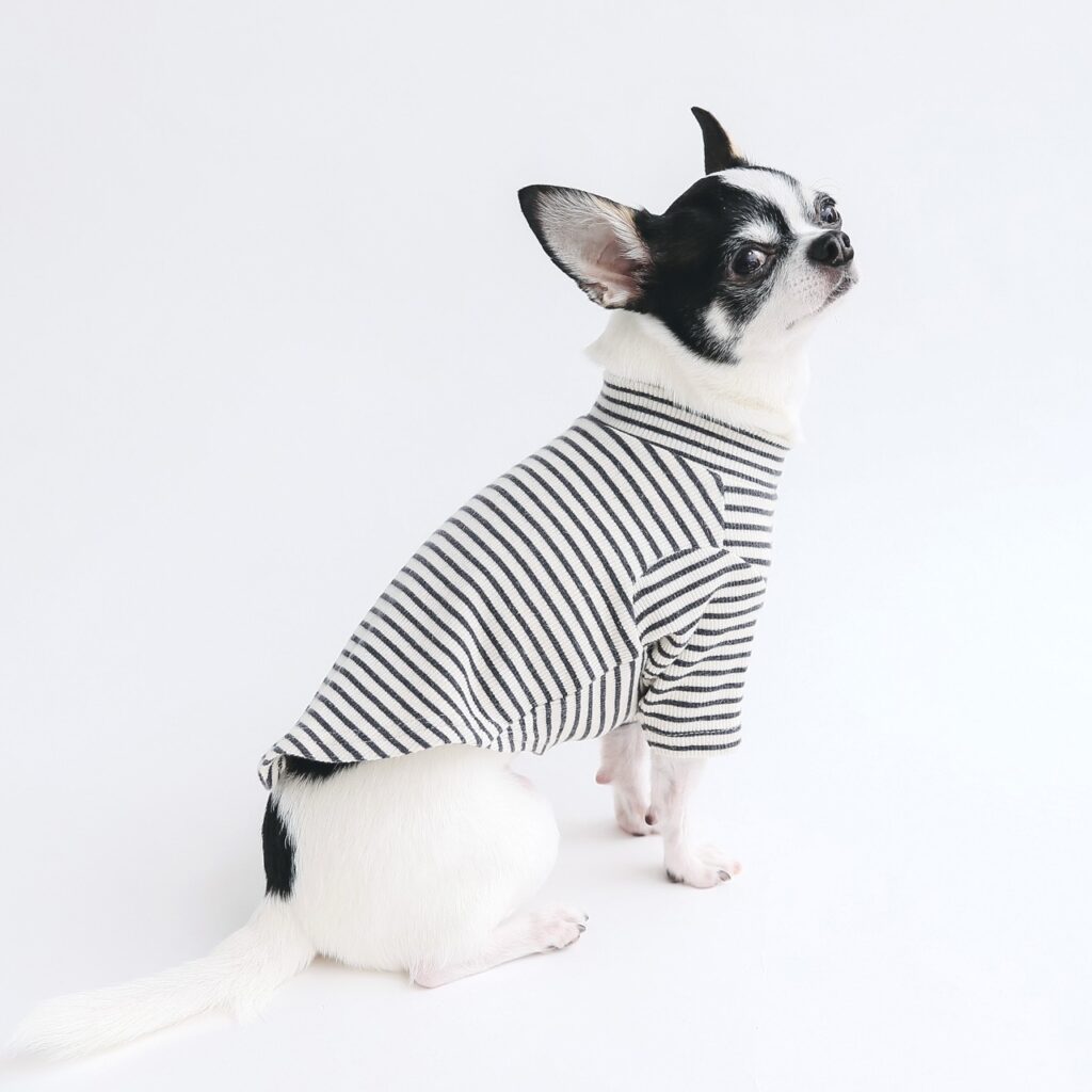 ハンドメイド_犬服 Kicsi_エントリエ