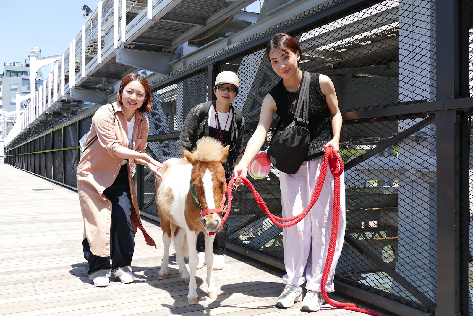 SABOTENSのまちのミカタ_村田あやこ_藤田 泰実_すみだリバーウォーク_エントリエ