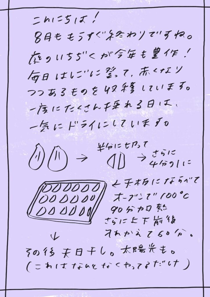 こんにちは!
8月ももうすぐ終わりですね。
庭のいちじくが今年も豊作!
毎日、はしごに登って、赤くなりつつあるものを収穫しています。
一度にたくさん採れる日には、一気にドライにしています。
半分に切って → さらに4分の1に
天板にならべてオーブンで100℃、90分加熱
さらに上下前後を入れかえて60分。
その後、天日干し。太陽光も。
(これはなんとなくやってるだけ)