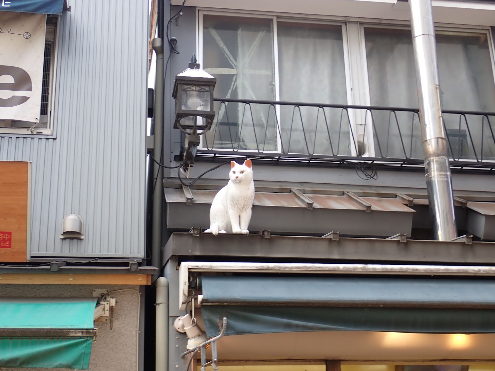 SABOTENS まちのミカタ_根津_谷根千_エントリエ