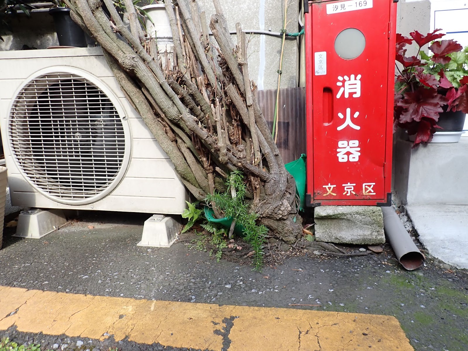SABOTENS まちのミカタ_根津_谷根千_エントリエ