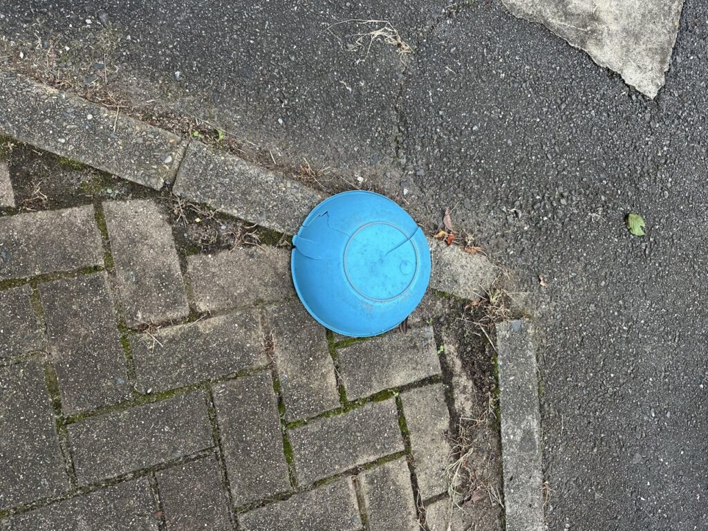 かつて川が流れていたまち・板橋 蓮根川暗渠編 #47_SABOTENS_まちのミカタ_エントリエWEBマガジン