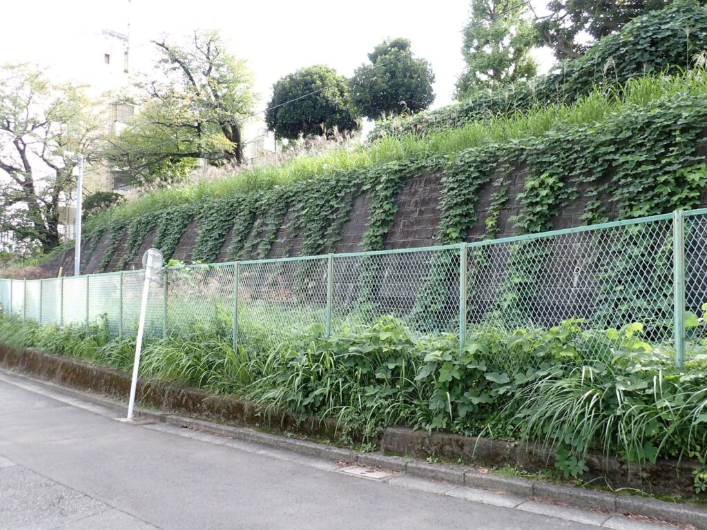 かつて川が流れていたまち・板橋 蓮根川暗渠編 #47_SABOTENS_まちのミカタ_エントリエWEBマガジン