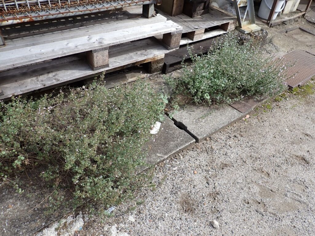 かつて川が流れていたまち・板橋 蓮根川暗渠編 #47_SABOTENS_まちのミカタ_エントリエWEBマガジン