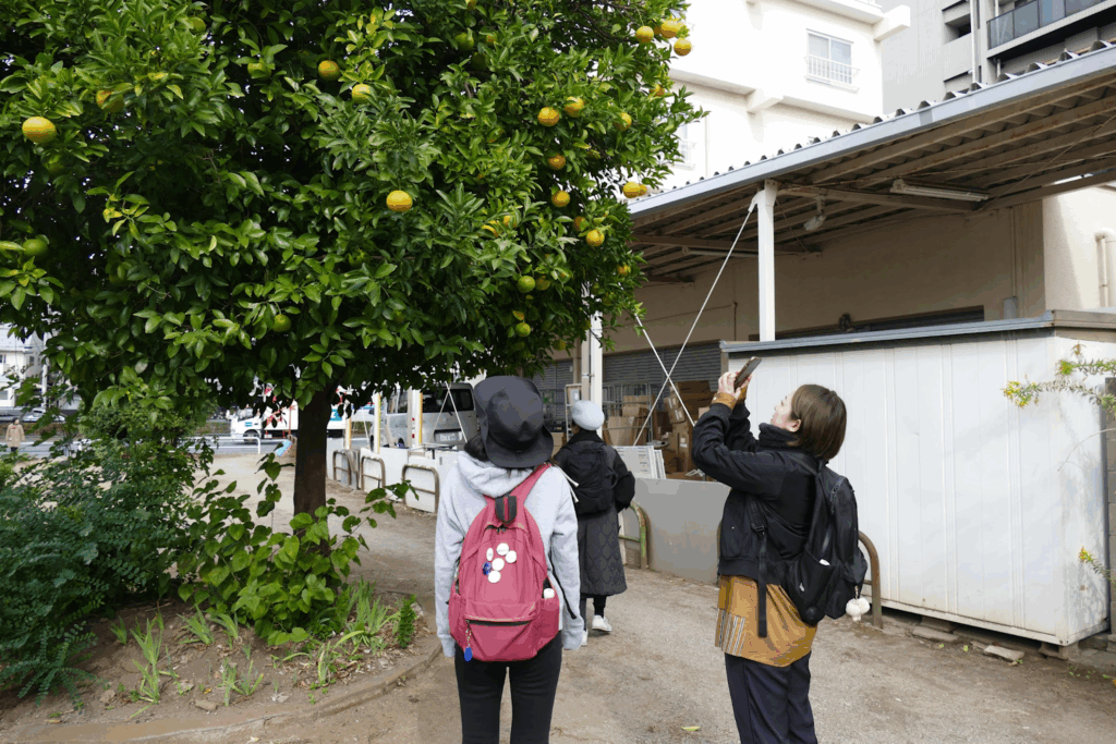 かつて川が流れていたまち・板橋 蓮根川暗渠編 #47_SABOTENS_まちのミカタ_エントリエWEBマガジン
