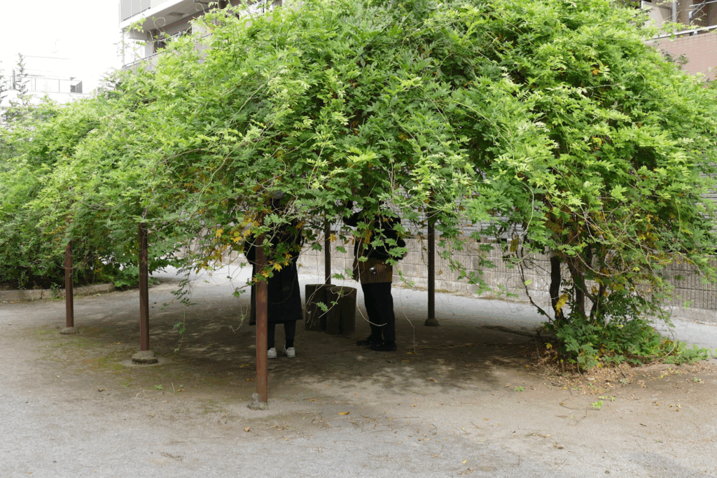 かつて川が流れていたまち・板橋 蓮根川暗渠編 #47_SABOTENS_まちのミカタ_エントリエWEBマガジン