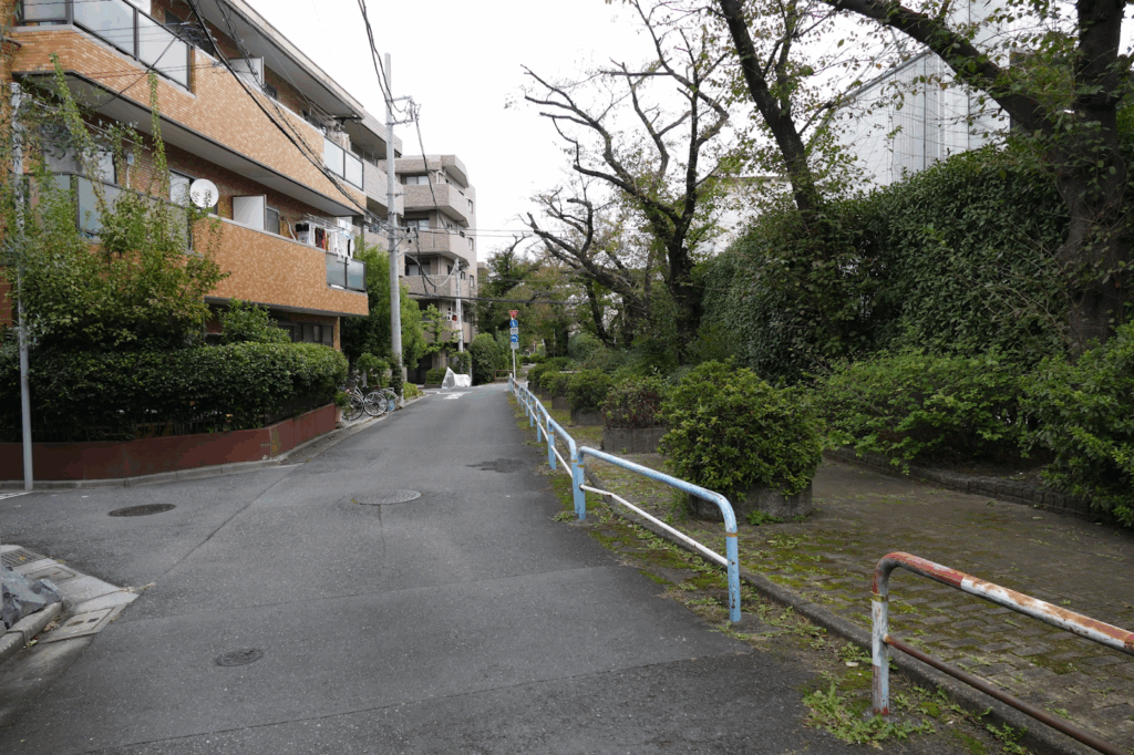 かつて川が流れていたまち・板橋 蓮根川暗渠編 #47_SABOTENS_まちのミカタ_エントリエWEBマガジン