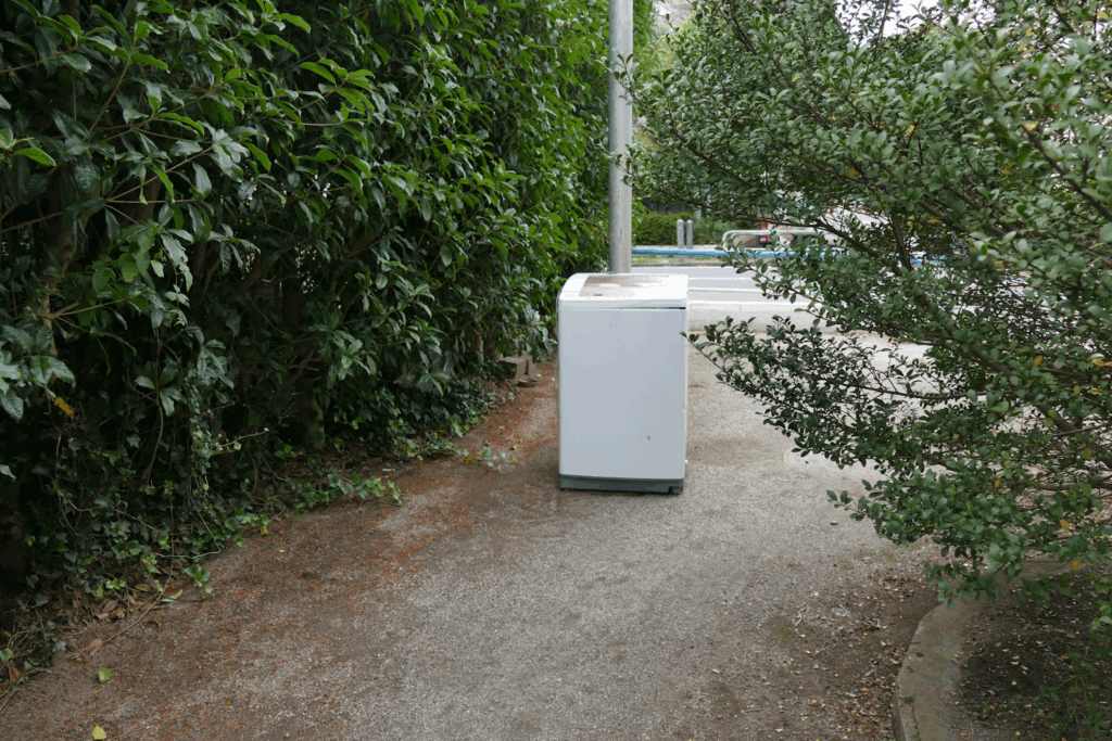 かつて川が流れていたまち・板橋 蓮根川暗渠編 #47_SABOTENS_まちのミカタ_エントリエWEBマガジン