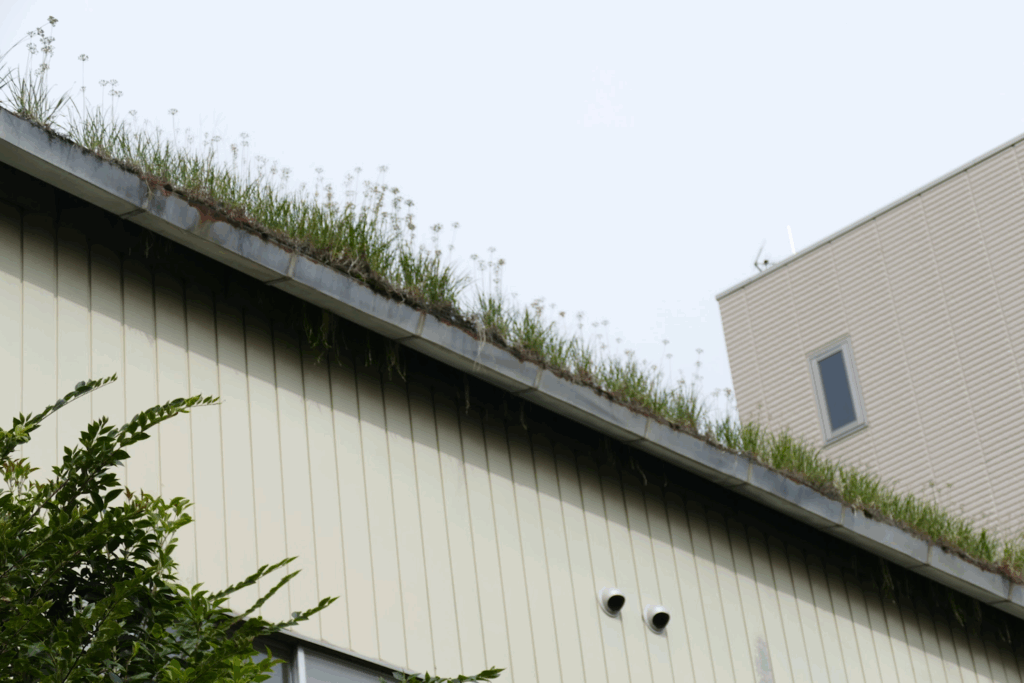 かつて川が流れていたまち・板橋 蓮根川暗渠編 #47_SABOTENS_まちのミカタ_エントリエWEBマガジン