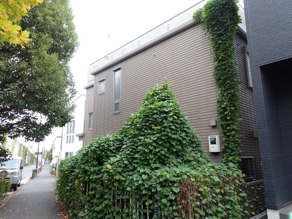 かつて川が流れていたまち・板橋 蓮根川暗渠編 #47_SABOTENS_まちのミカタ_エントリエWEBマガジン