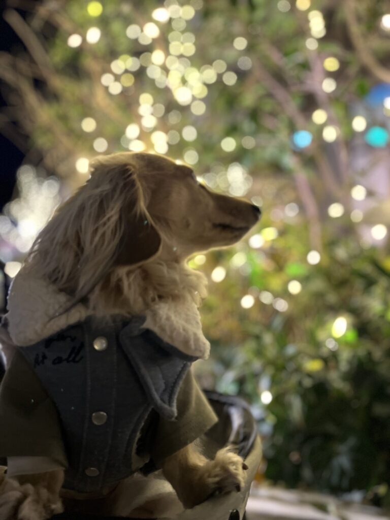 酒井智子_エントリエ_スタッフ