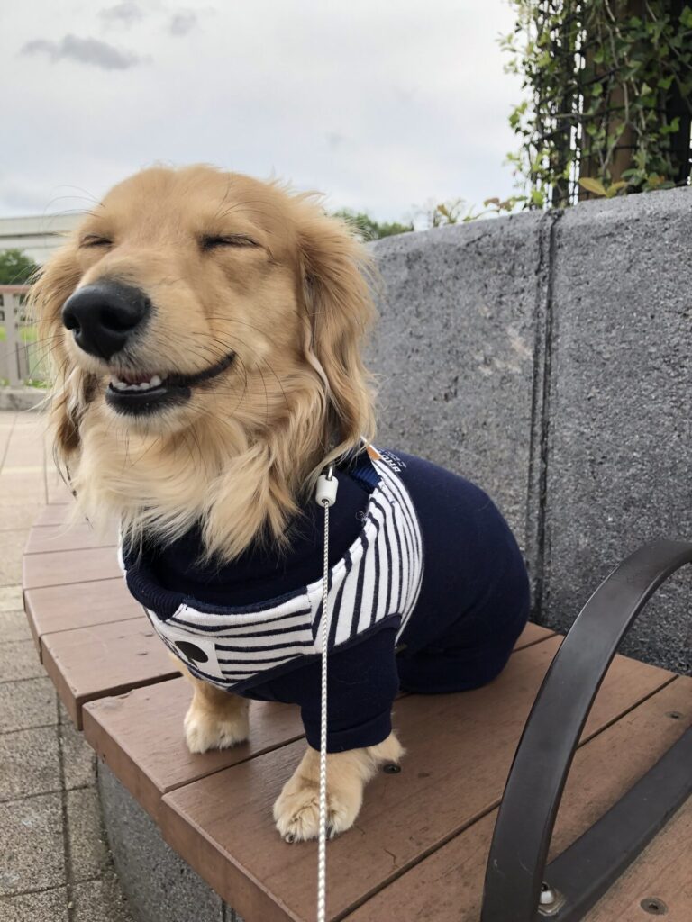 酒井智子_エントリエ_スタッフ