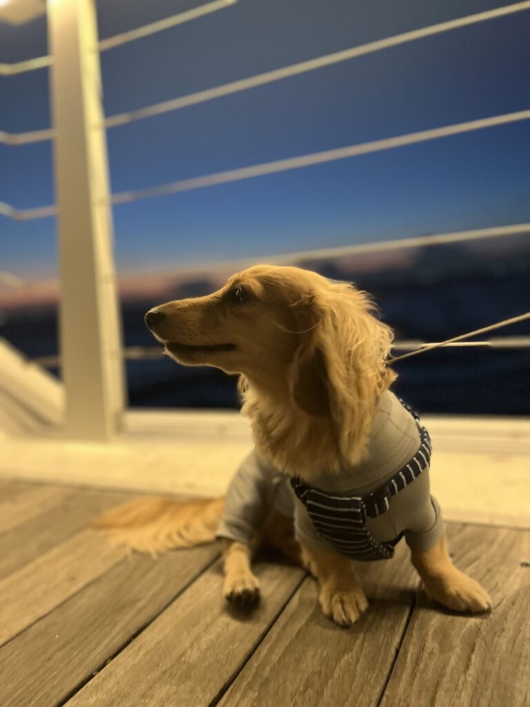 酒井智子_エントリエ_スタッフ