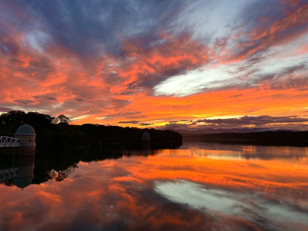酒井智子_エントリエ_スタッフ
